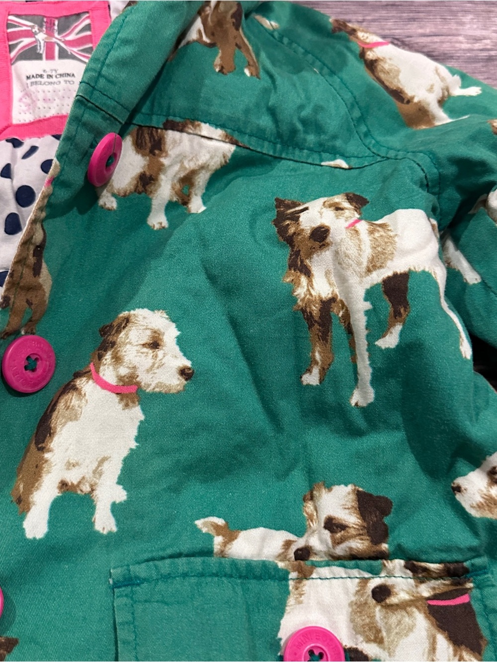 Mini Boden green dog coat - Picture 2 of 13